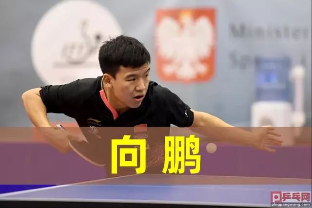 动的支持 动的支持